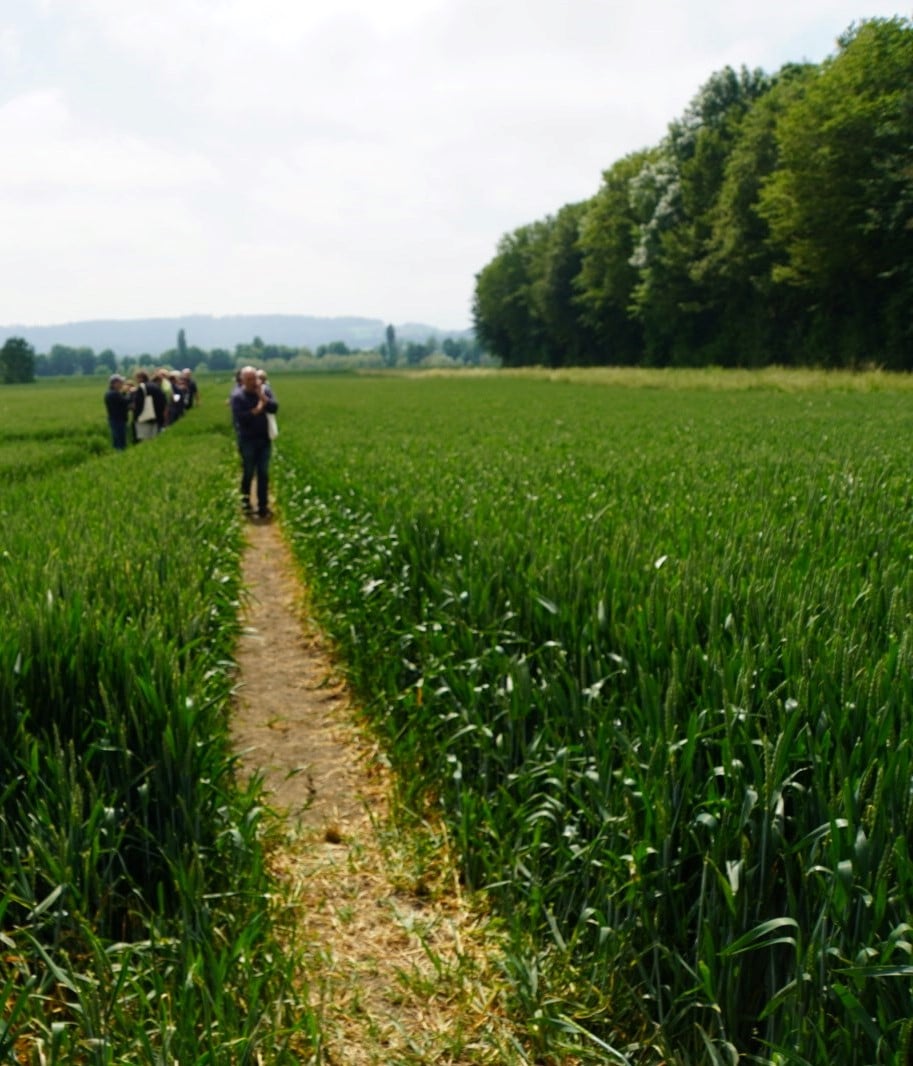 Proximity,Leadership,Field Representatives