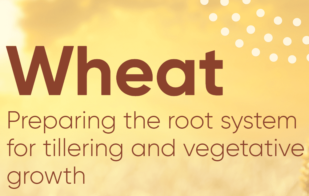 fertilizer,Nutrient,Sustainable Agriculture,Bioavailability