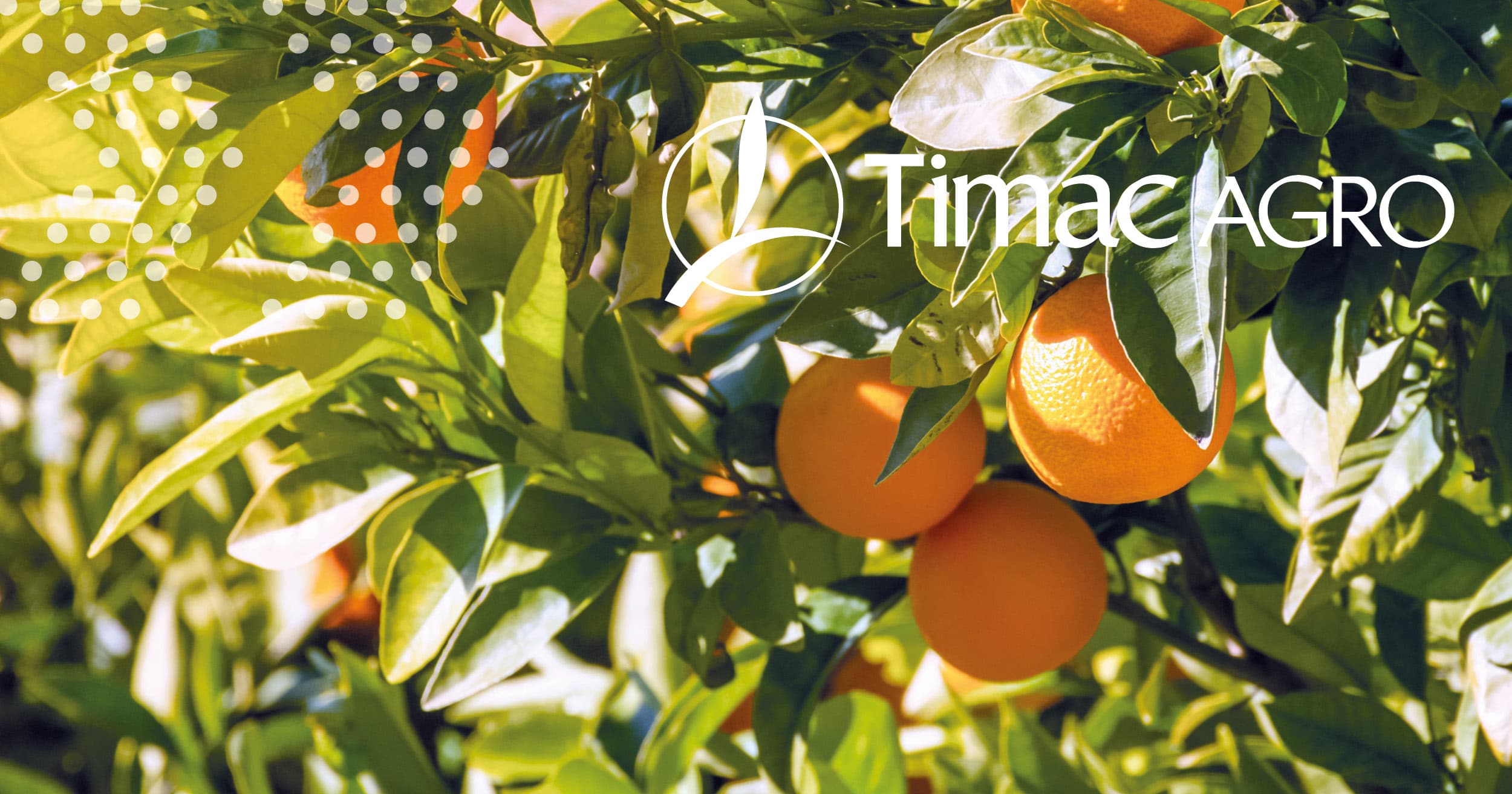 fertilizer,Nutrient,Sustainable Agriculture,Bioavailability