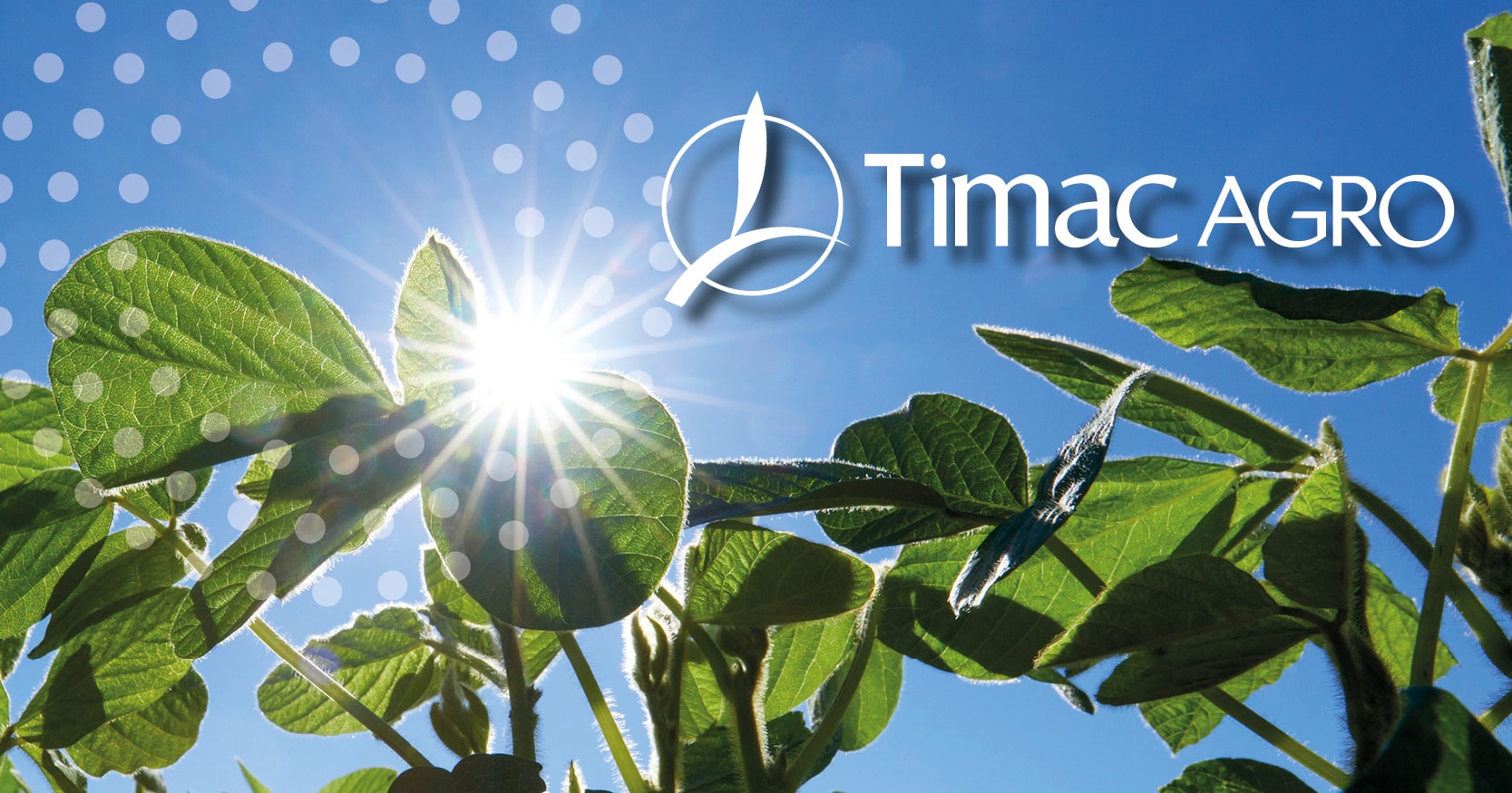 fertilizer,Nutrient,Sustainable Agriculture,Bioavailability