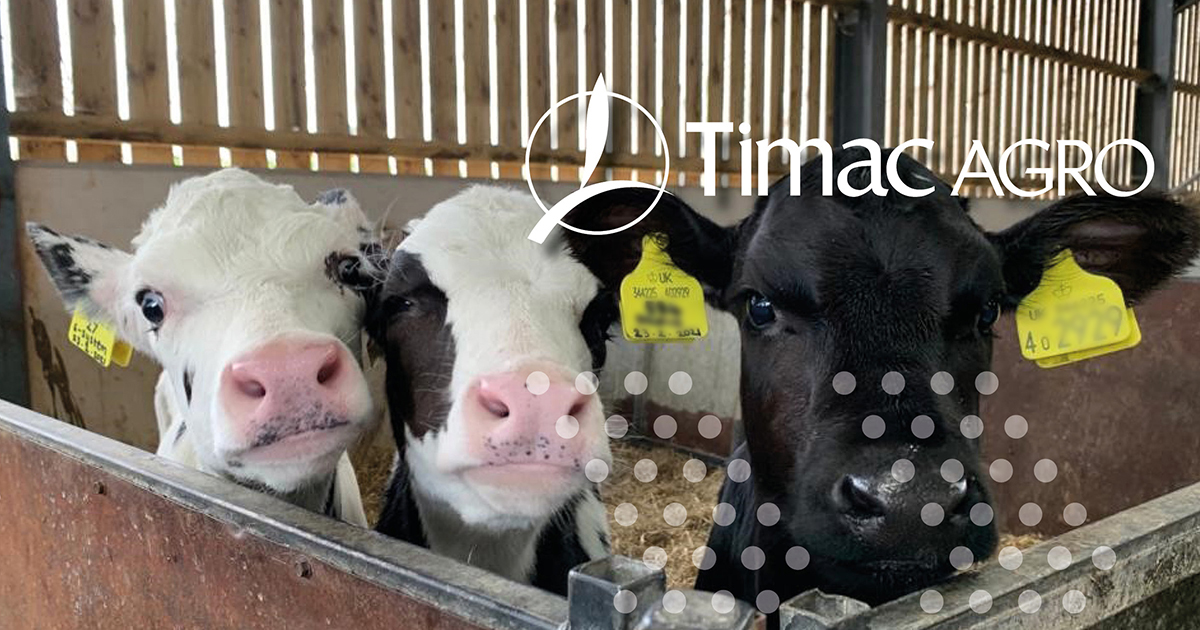 mycotoxins,silage,animals