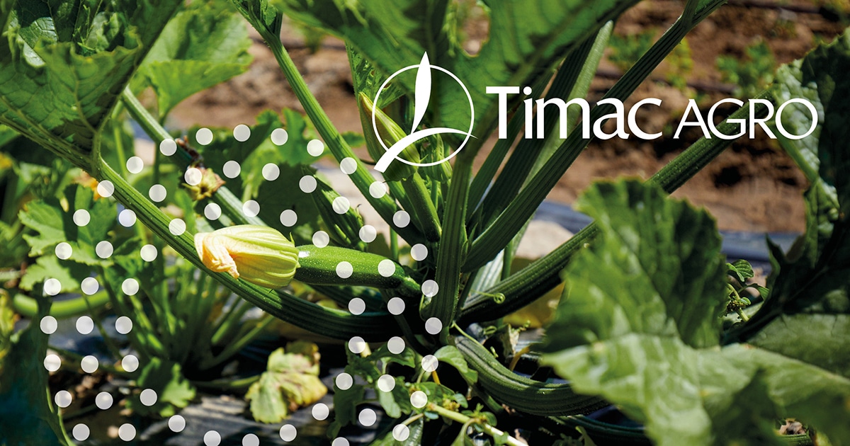 fertilizer,Nutrient,Sustainable Agriculture,Bioavailability