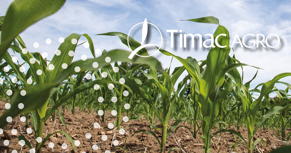 timac-agro-stress-implantation-maïs