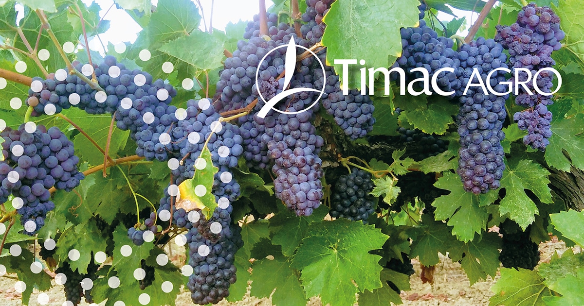 timac-agro-grapevines-hydric-stress