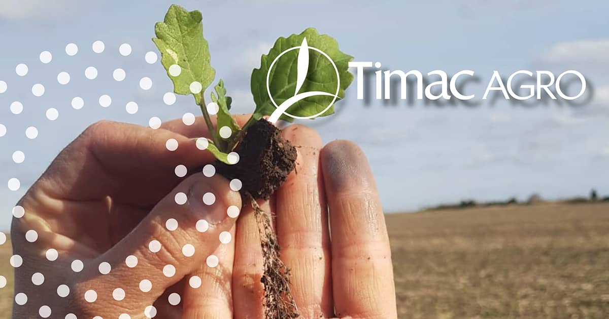 timac-agro-rapeseed-boron-deficiency