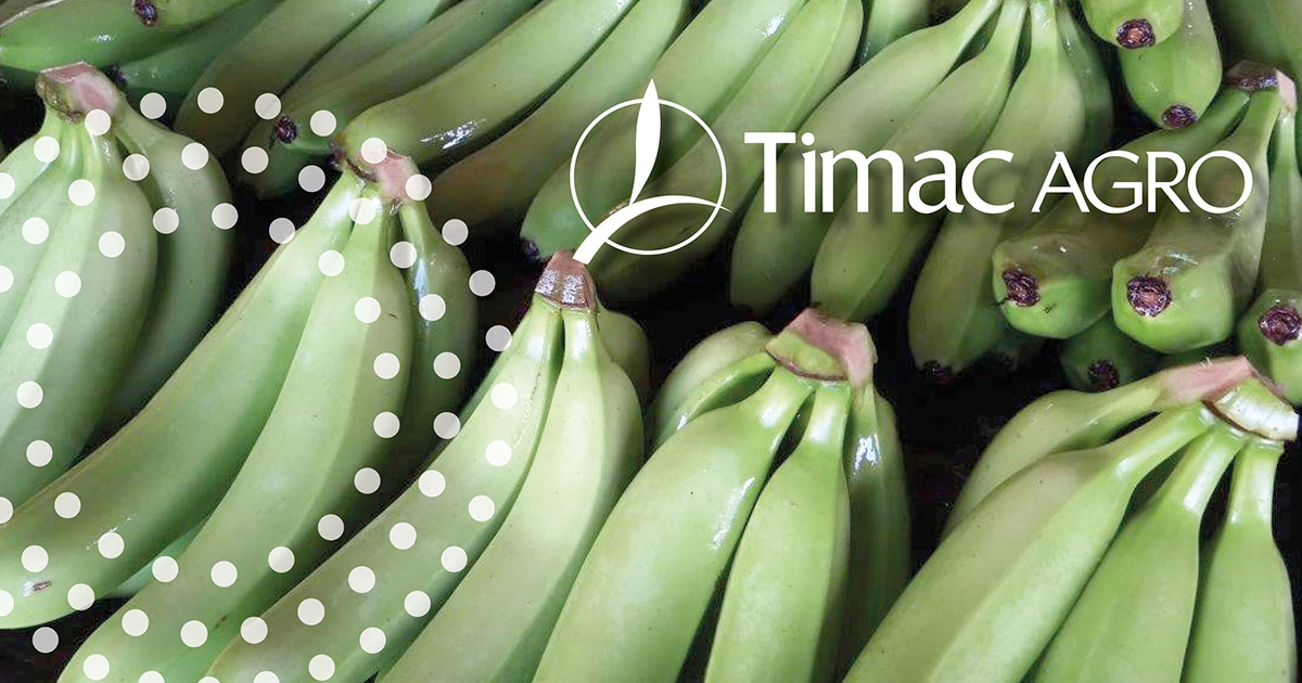 timac-agro-banana-yield-quality