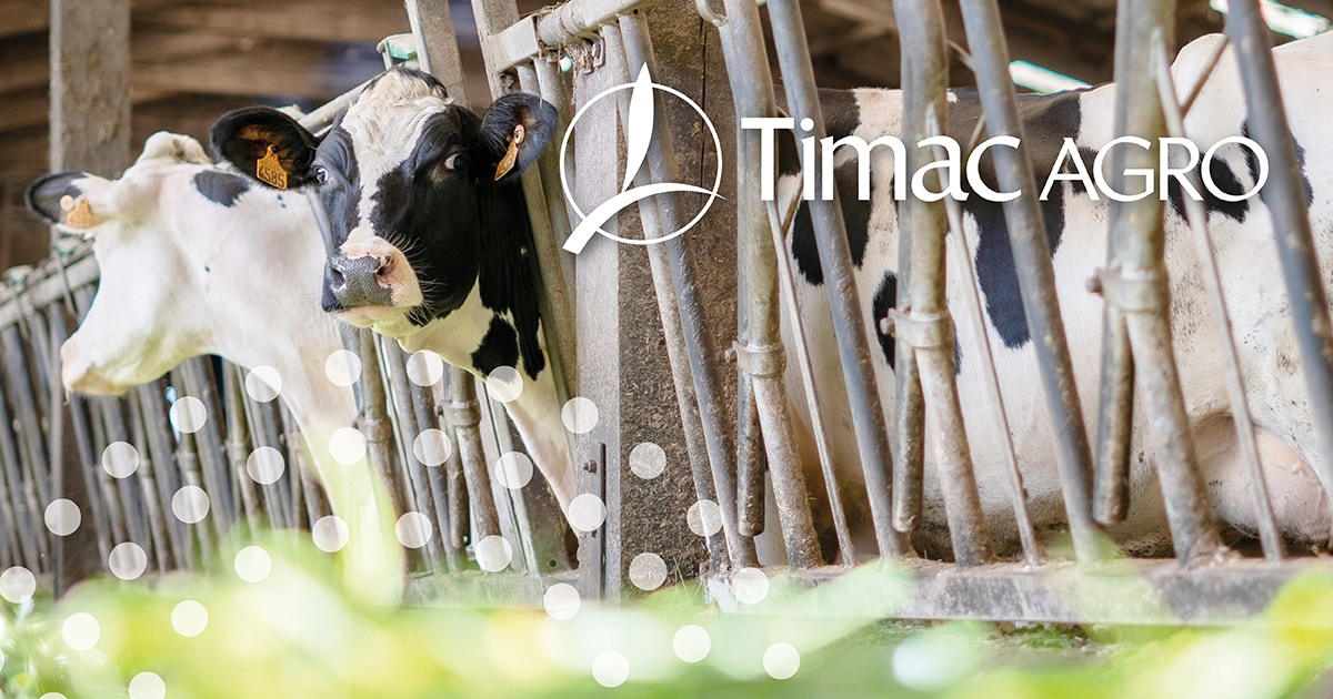 mycotoxins,silage,animals