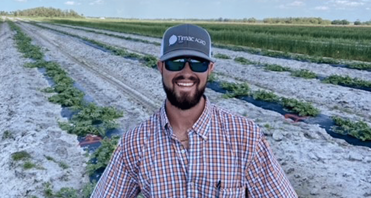 | TIMAC AGRO INTERNATIONAL