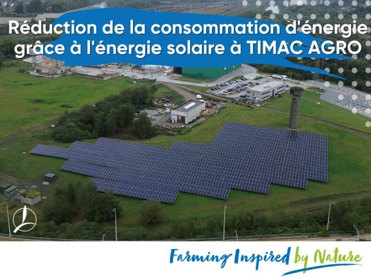 solaire,panneau,énergie