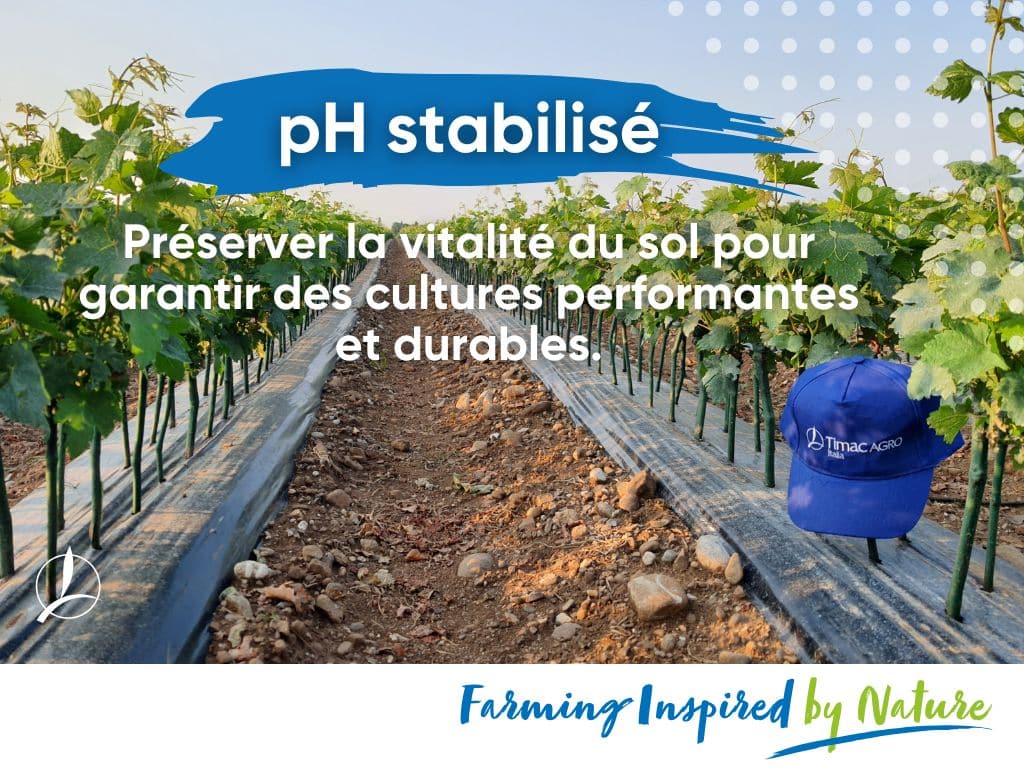Stabiliser le pH du sol : un levier clé pour des cultures durables