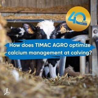 calving,calcium,sustainability