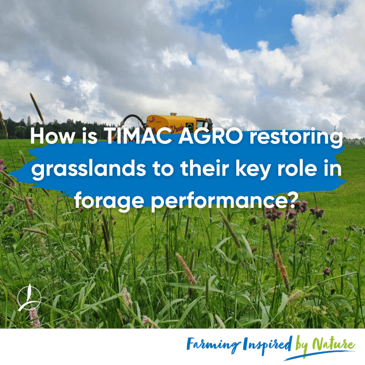 meadow,fertilizing,forage