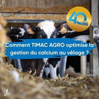 vêlage,calcium,santé,performance