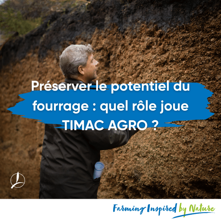 optimiser,ensilage,fourrage
