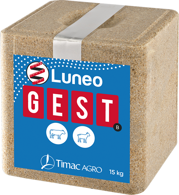 LUNEO GEST-B