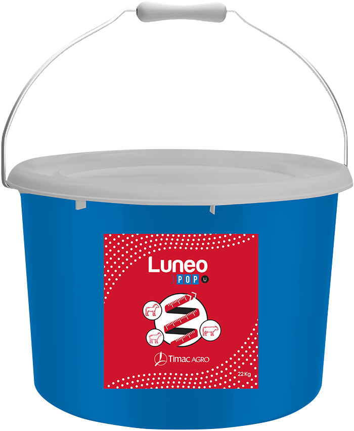 LUNEO POP-U