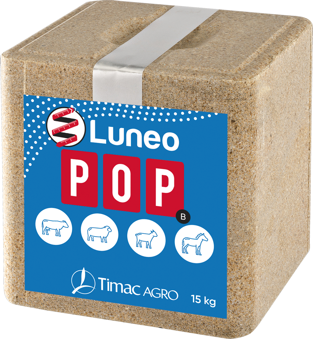 LUNEO POP-B