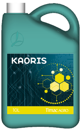 KAORIS 4