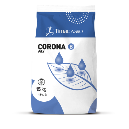 CORONA B