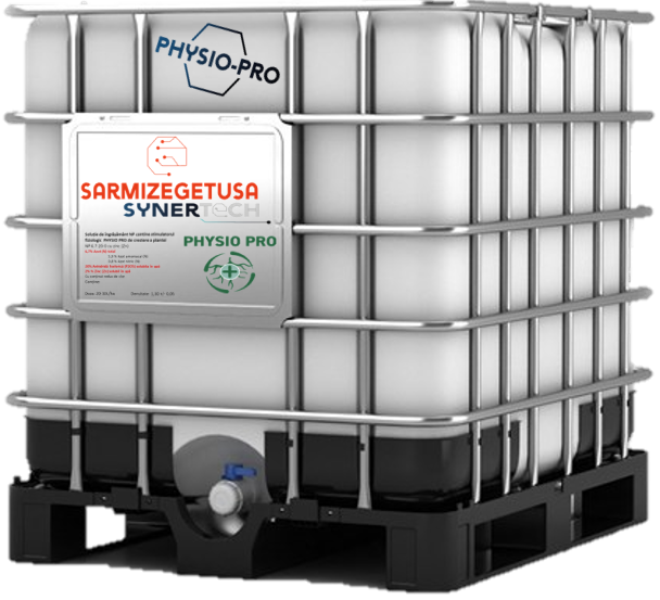 SynerTech Sarmizegetusa