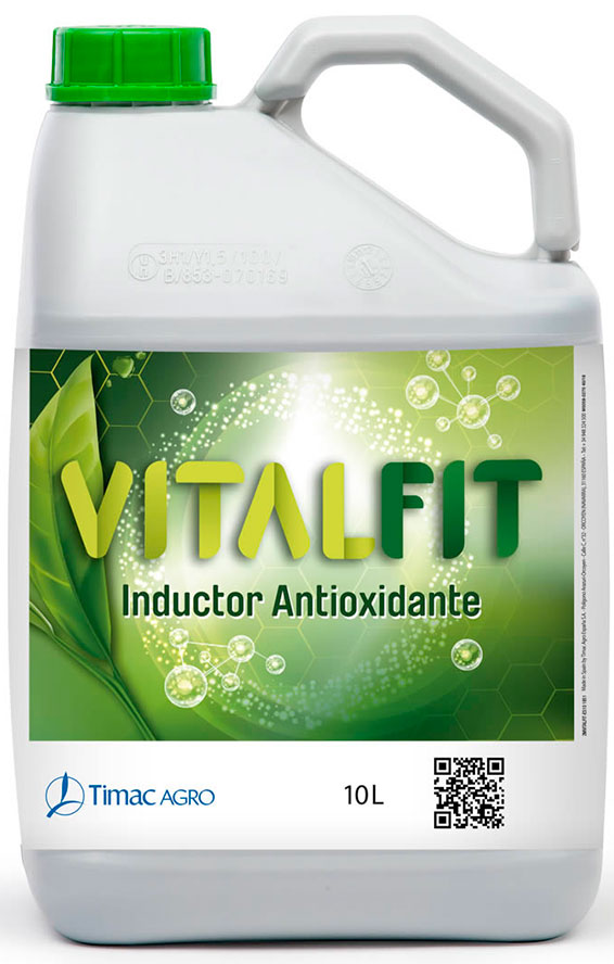 VITALFIT