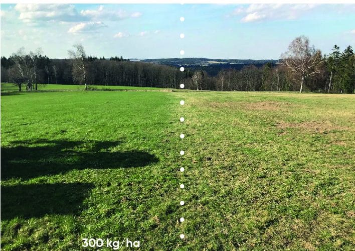 erde,bodengesundheit,bodenleben,mikroorganismen,bodenleben fördern landwirtschaft,bodenleben fördern,bodenleben verbessern