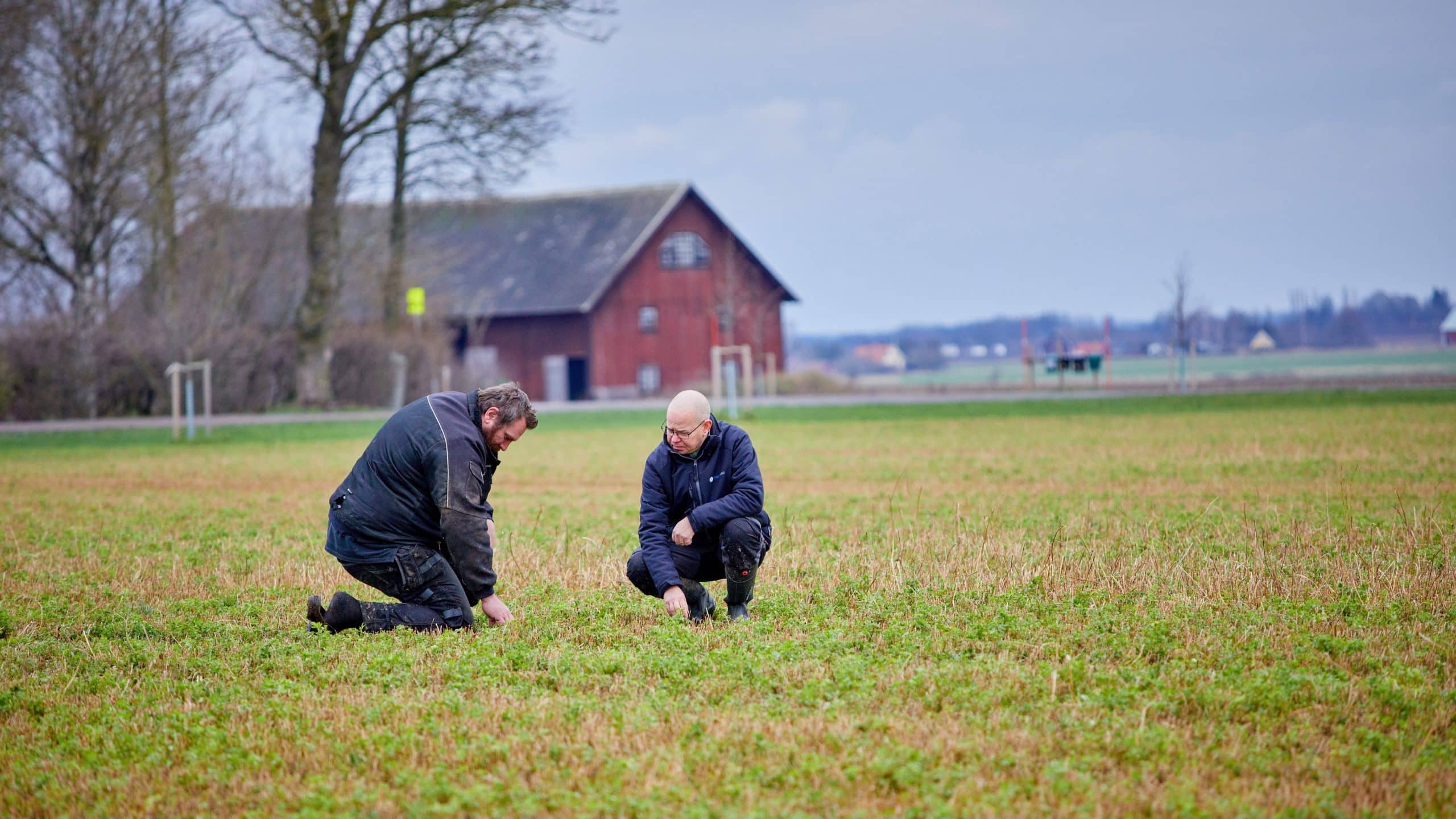 erde,bodengesundheit,bodenleben,mikroorganismen,bodenleben fördern landwirtschaft,bodenleben fördern,bodenleben verbessern