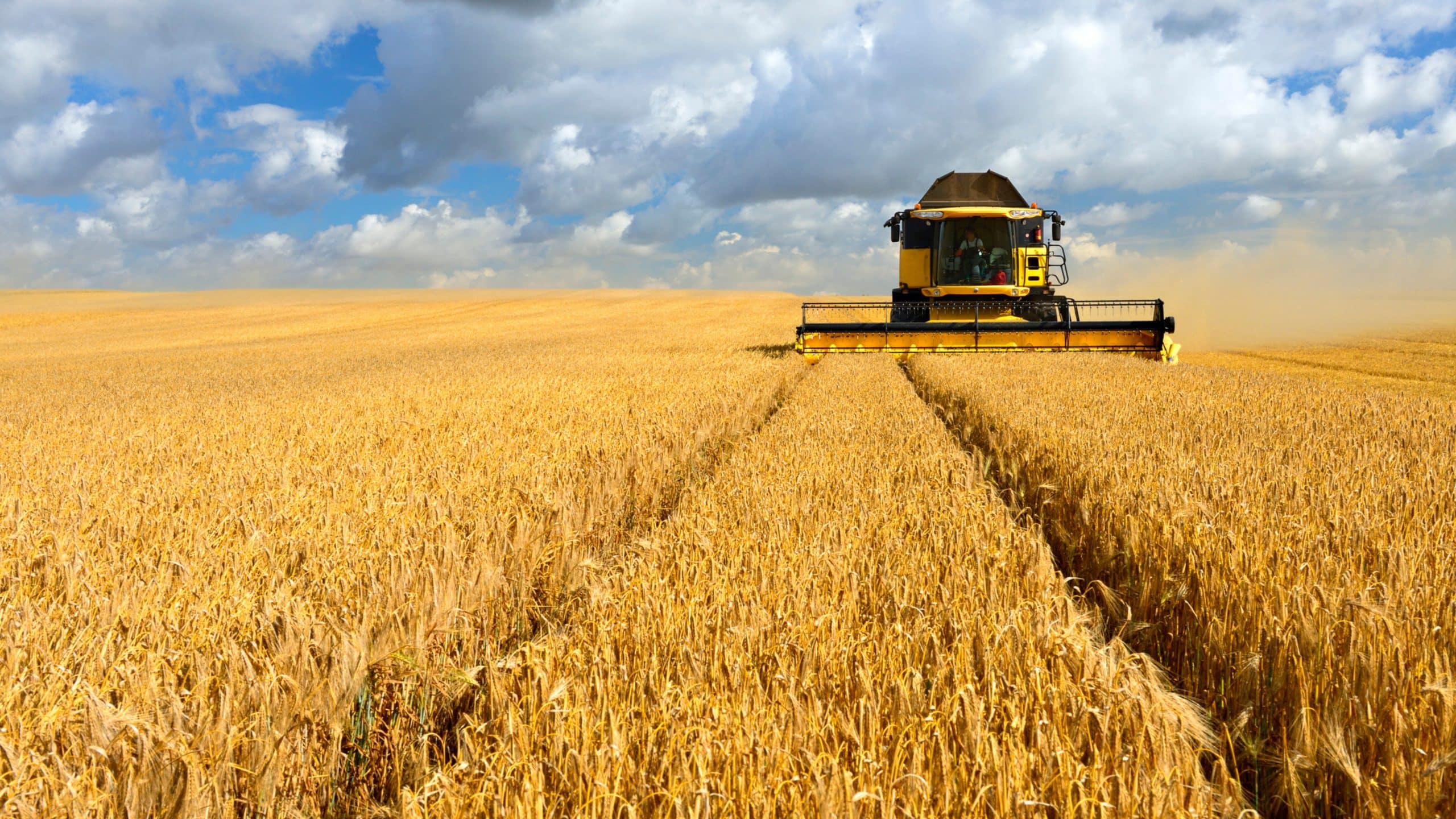 erde,bodengesundheit,bodenleben,mikroorganismen,bodenleben fördern landwirtschaft,bodenleben fördern,bodenleben verbessern