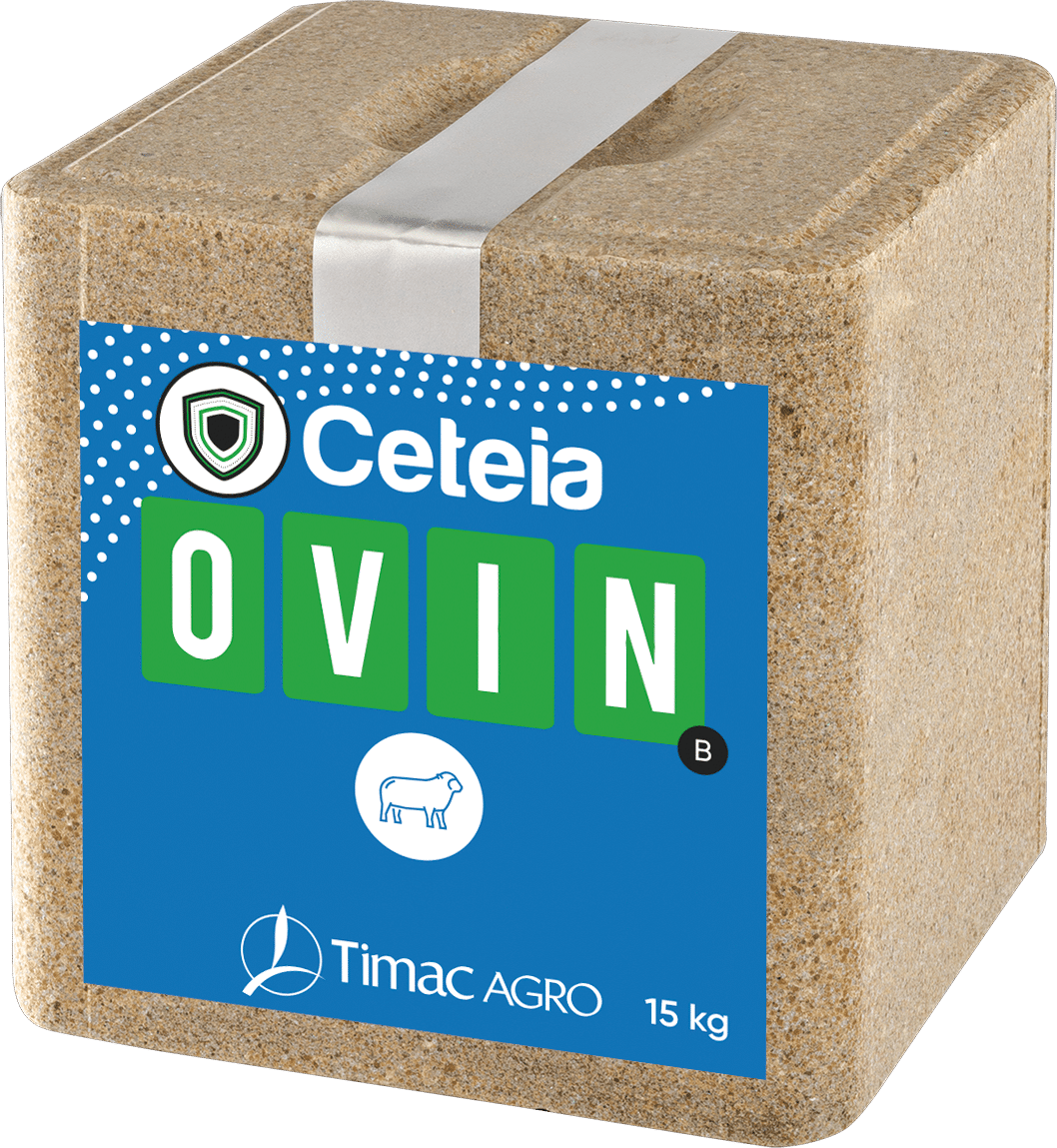 CETEIA OVIN B