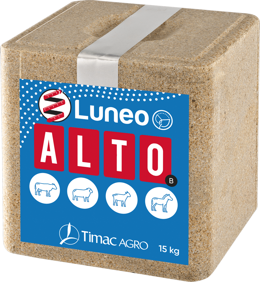 LUNEO ALTO B