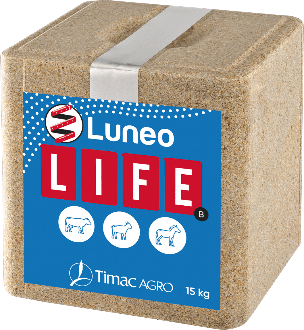 LUNEO LIFE B
