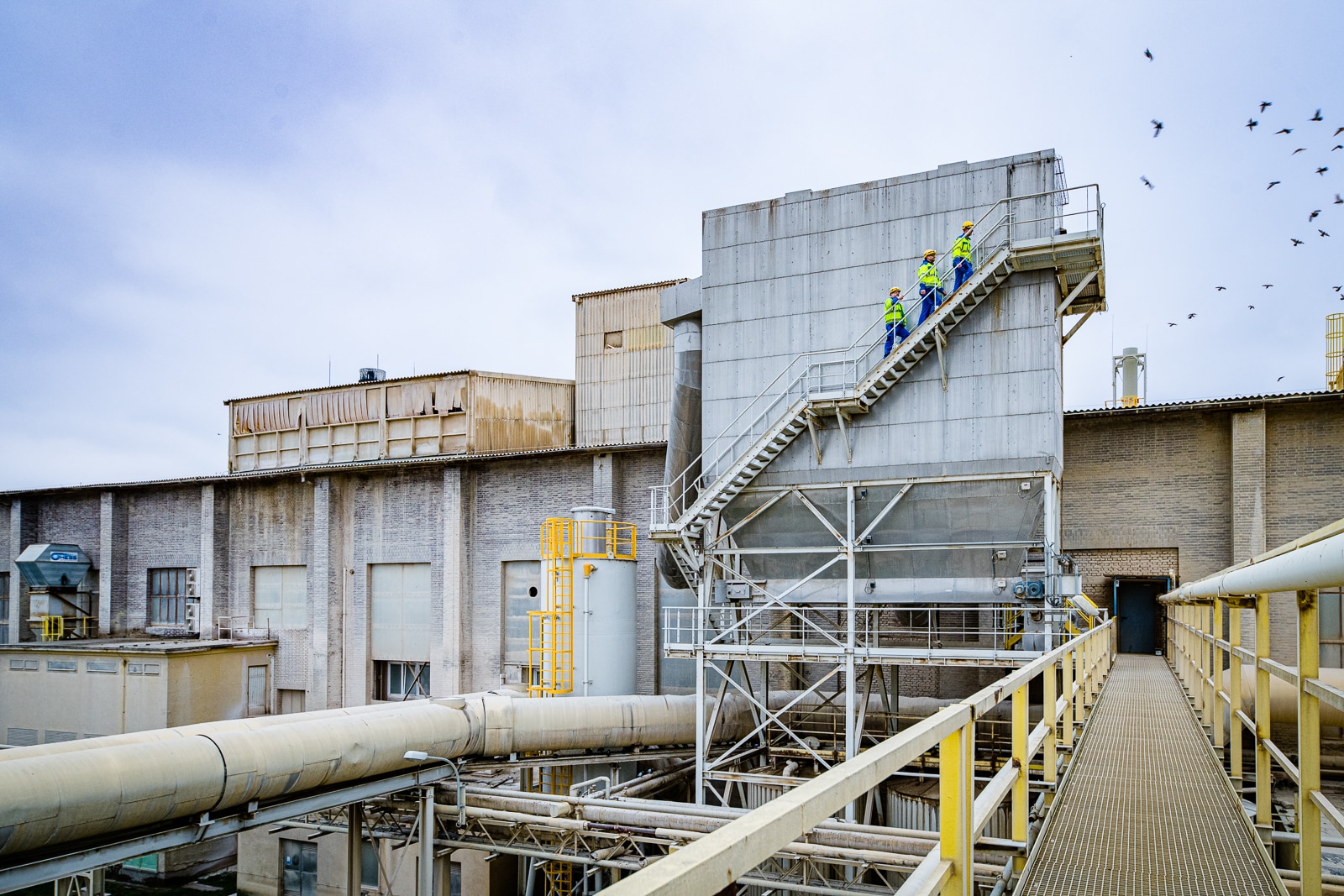 timac agro werk web (c) mias photoart 72
