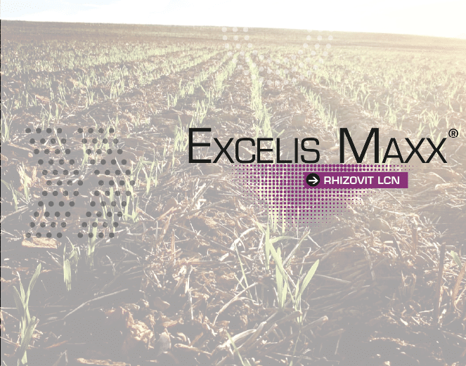 EXCELIS MAXX logo over wheat field.