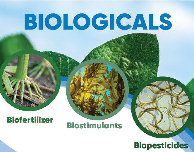 The use of biologicals in agriculture.