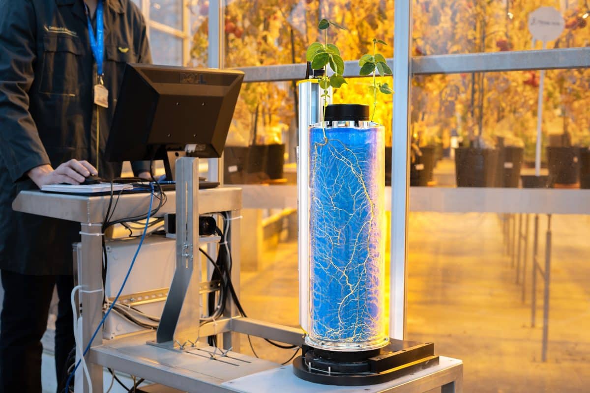 Plant and root development in analysis in the Roullier Global Innovation Center.