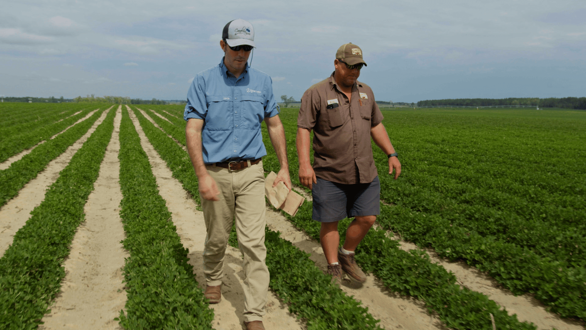 TIMAC AGRO Field Reps work side by side growers in the field.