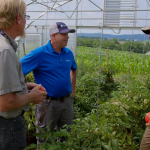 TIMAC AGRO Field Rep talking to growers inside a hightunnel, in Pennsylvania.