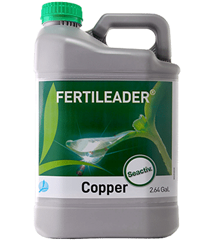 FERTILEADER Copper jug