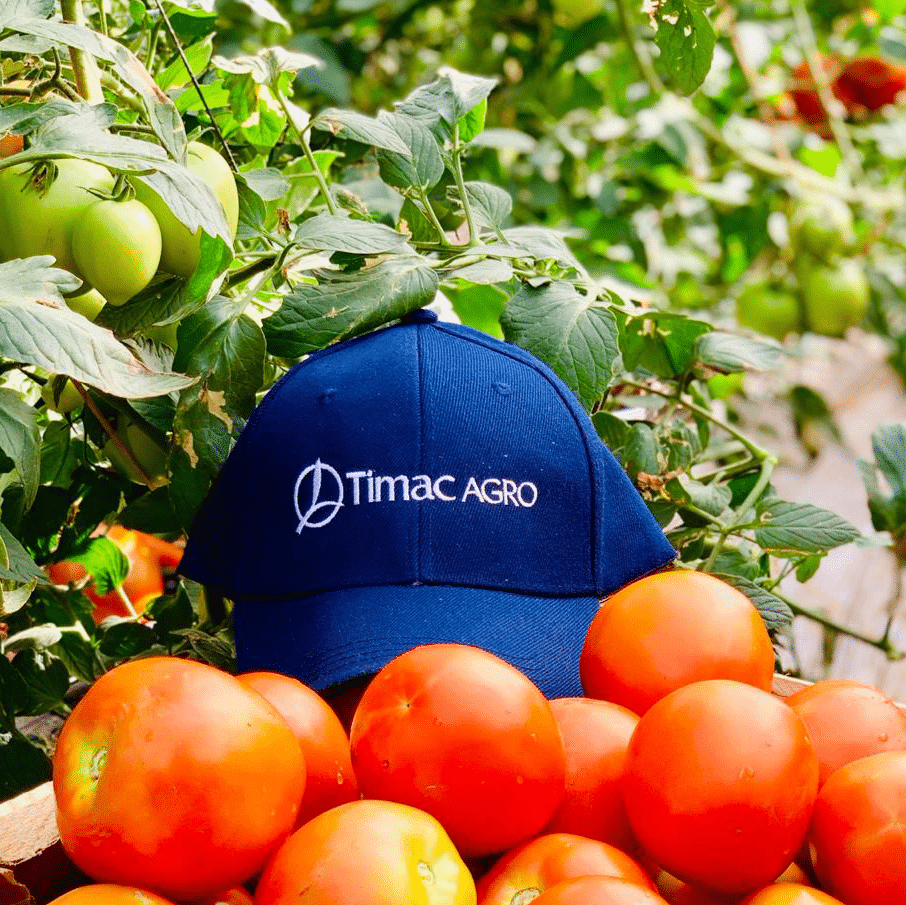 DUOMAXX-tomato-trial