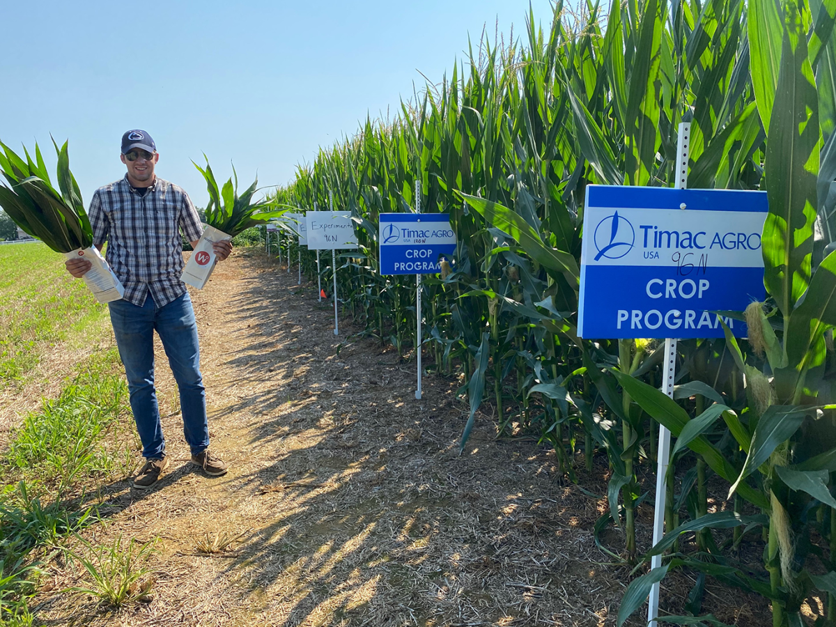 TIMAC AGRO Field Rep collecting leaf samples from cornfield trial in Pennsylvania.
