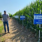 TIMAC AGRO Filed Representative taking leaf samples on corn field trial plot.