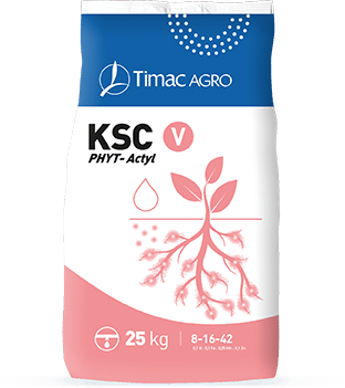 KSC V bag