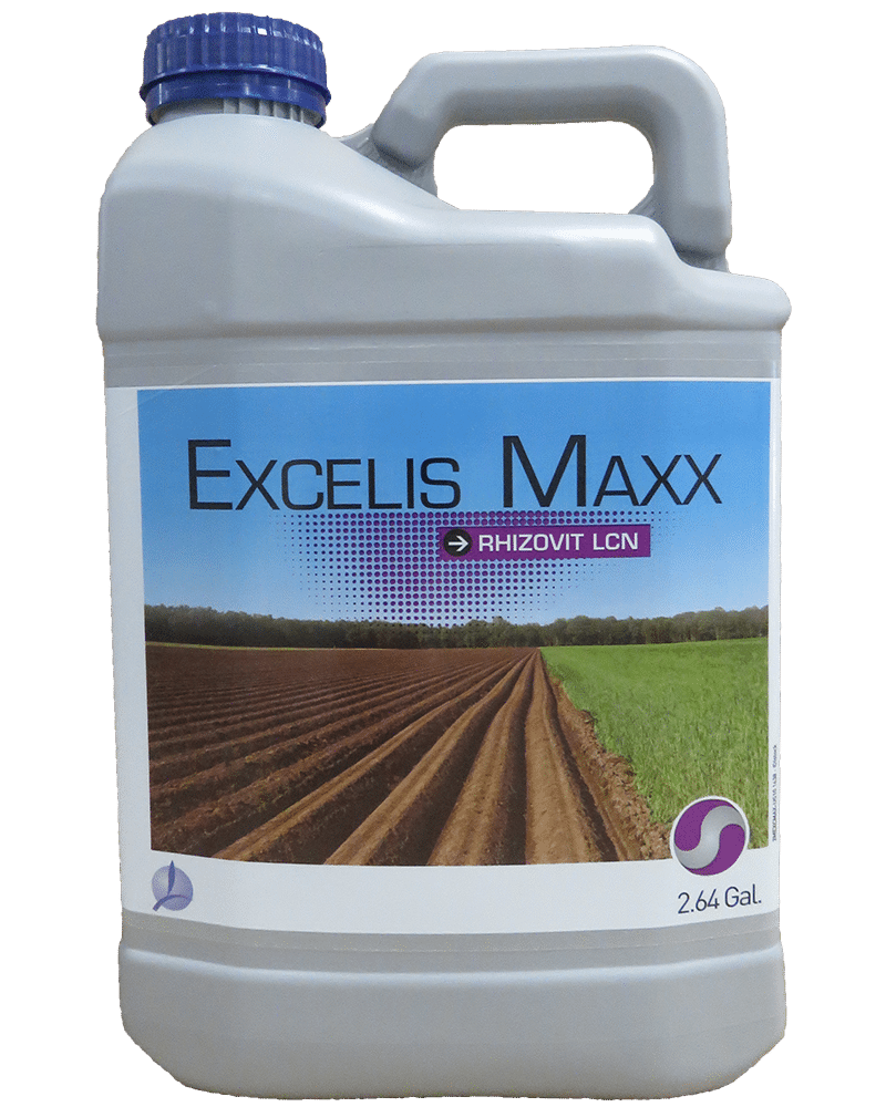 EXCELIS MAXX