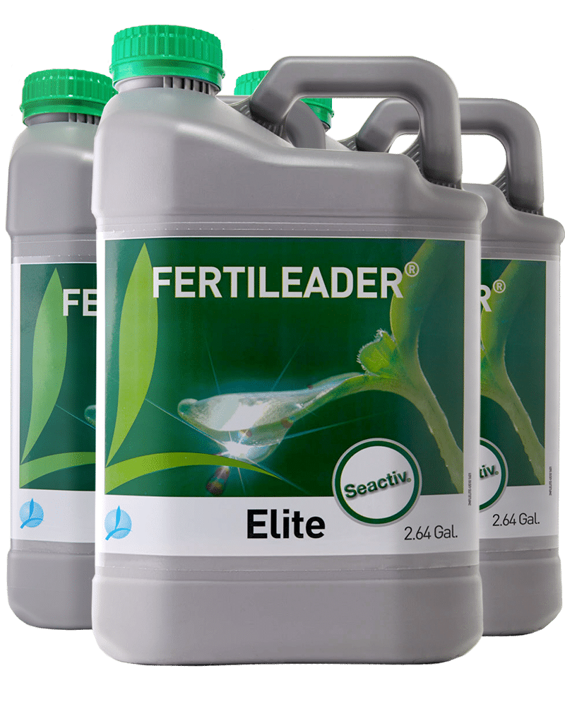 FERTILEADER