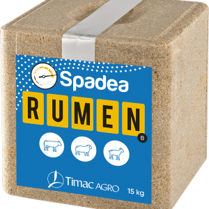SPADEA RUMEN B
