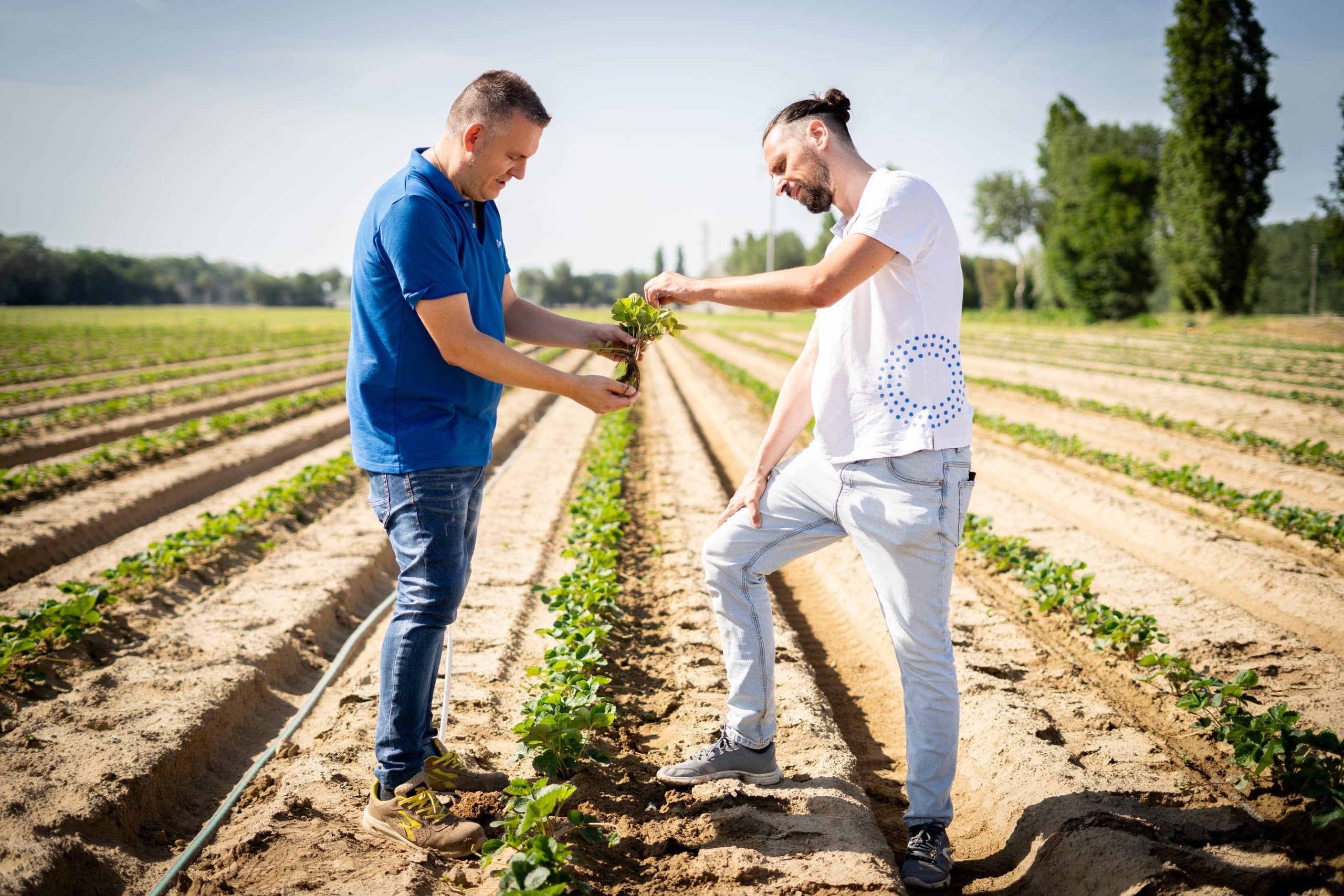 TIMAC AGRO Field Rep and farmer in the field