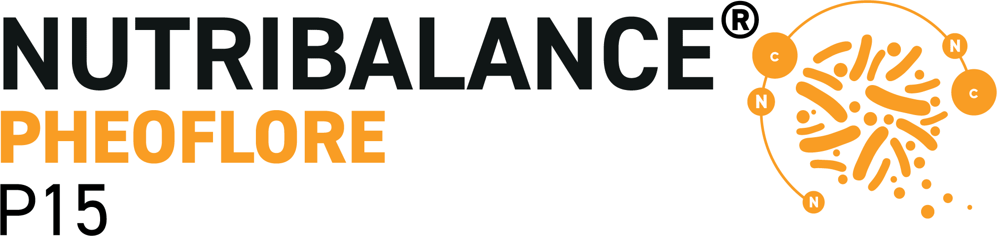 NutriBalance P15alternate image 1