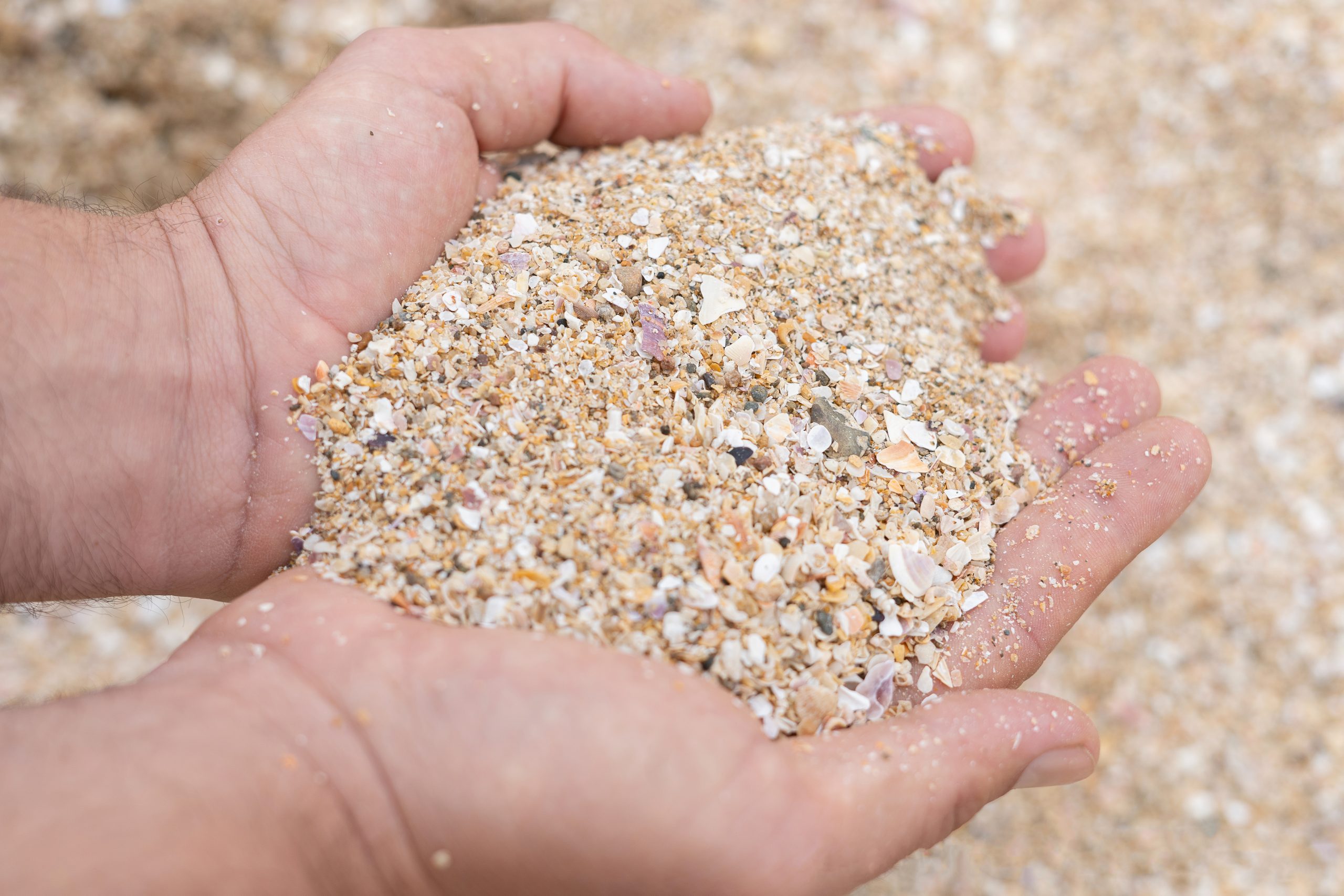 hands-seashell-raw-material