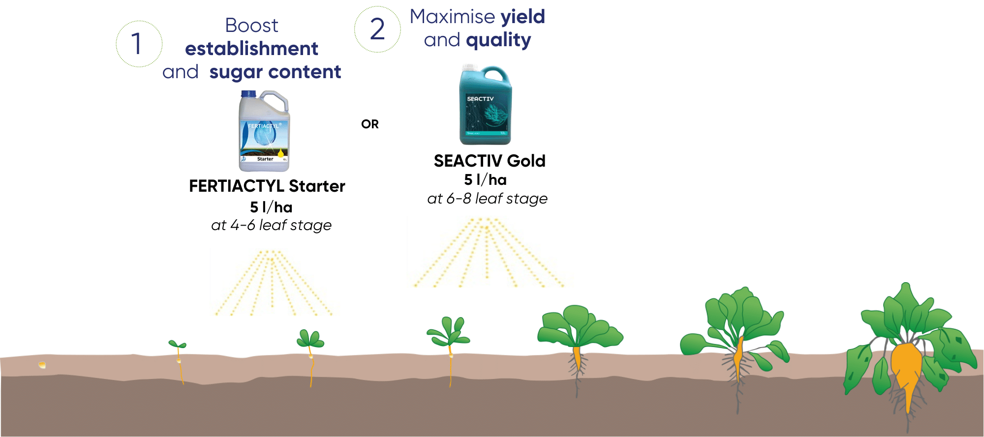 crop program (3)