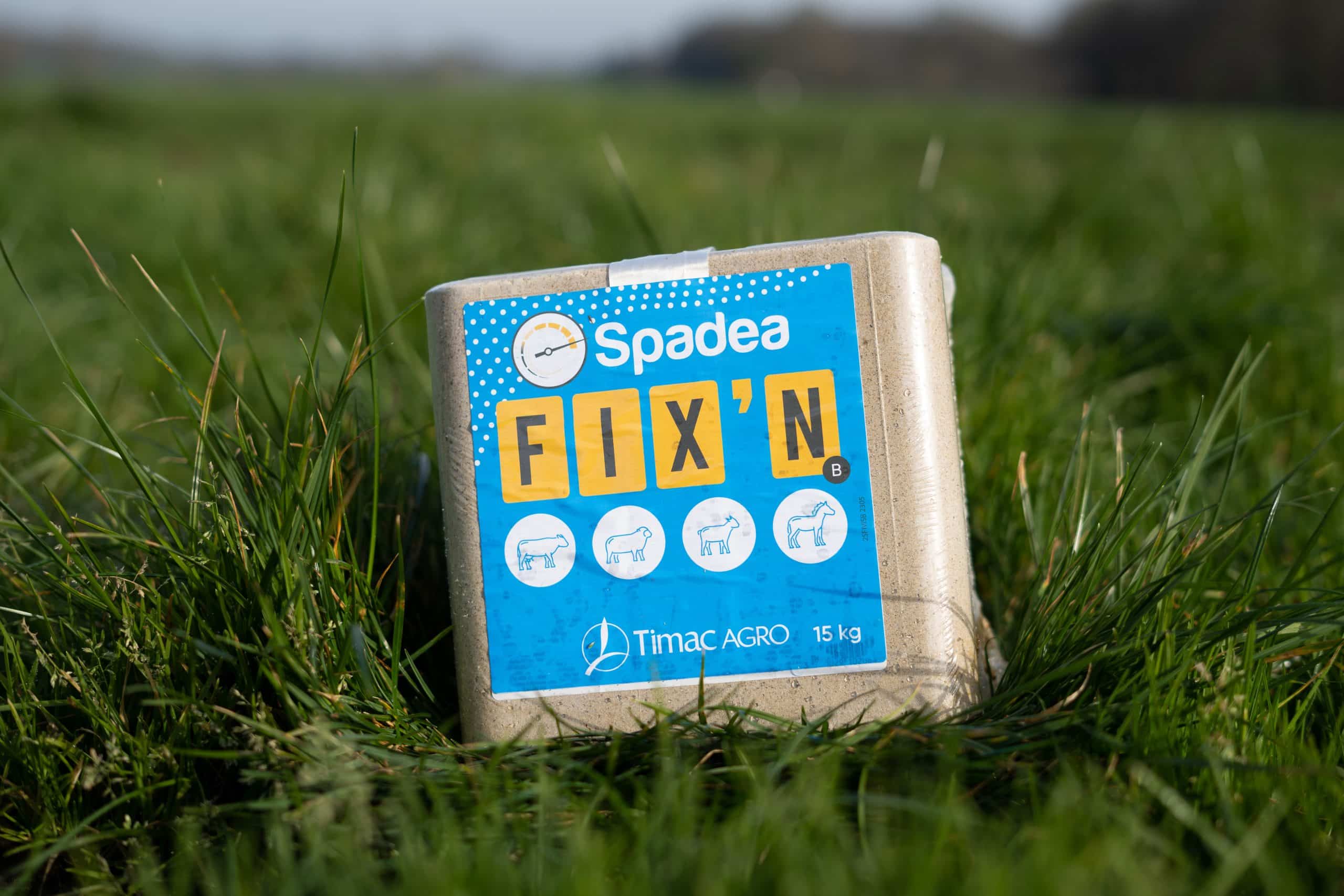Spadea FIX'N Blockalternate image 1